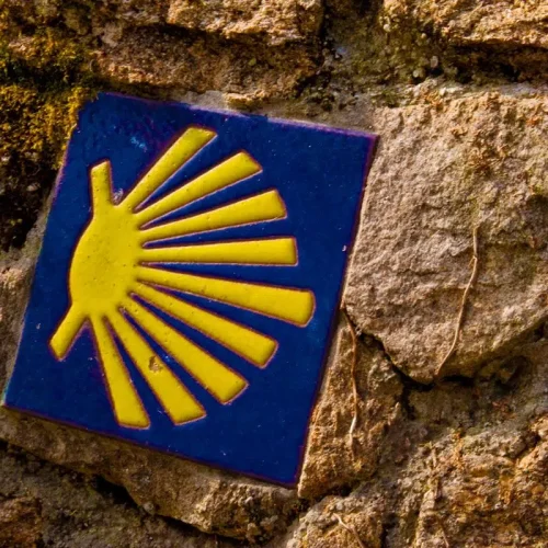 Camino-Fisterra-Muxia-Concha-Vieira